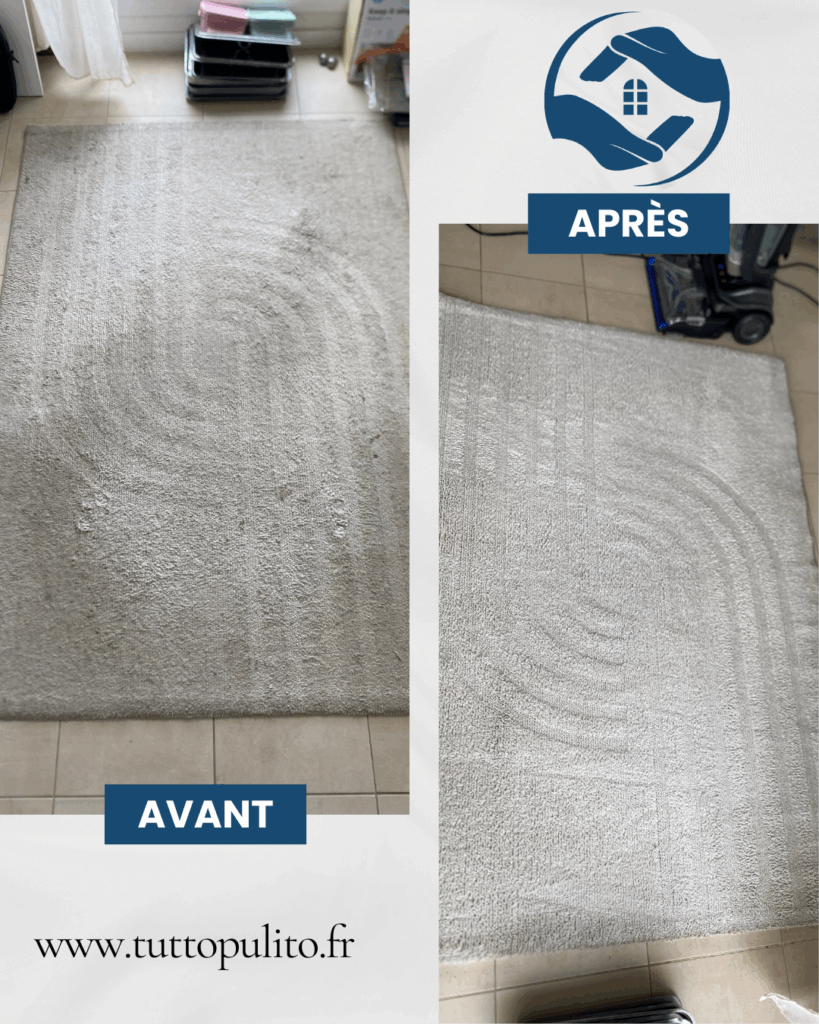 nettoyage-tapis-tutto-pulito (1)