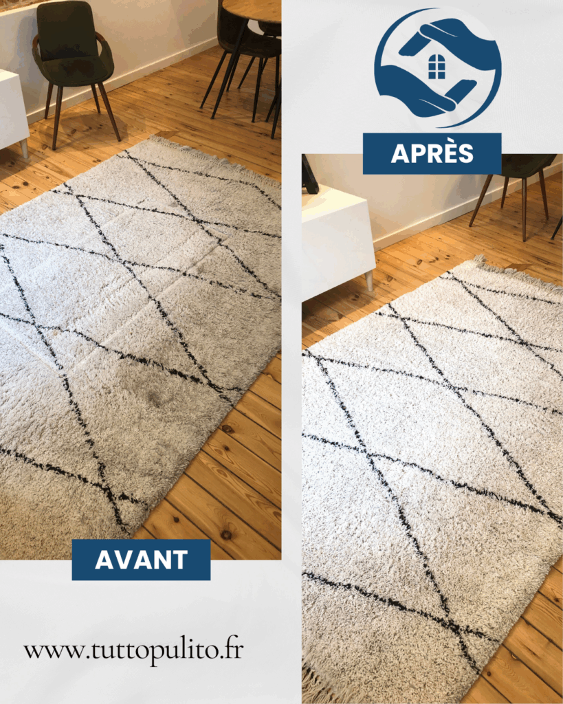 nettoyage-tapis-tutto-pulito (2)