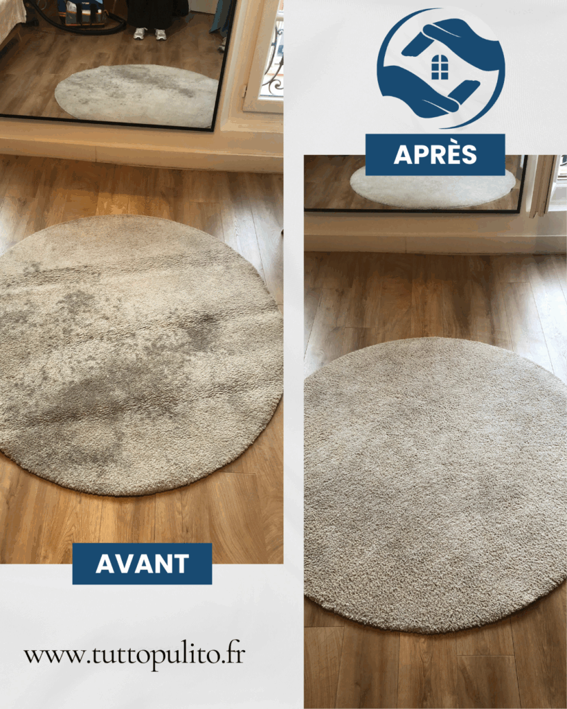 nettoyage-tapis-tutto-pulito (3)