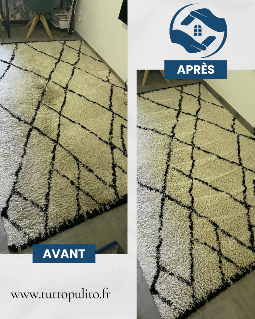 nettoyage-tapis-tutto-pulito (4)