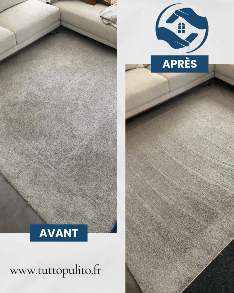 nettoyage-tapis-tutto-pulito (5)