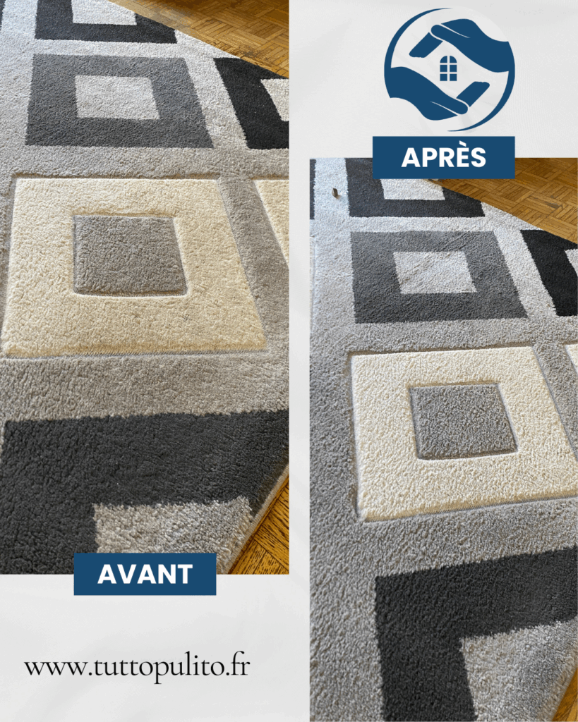 nettoyage-tapis-tutto-pulito (6)